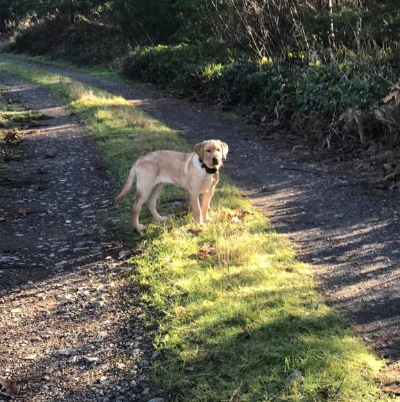 Meet your Posher, Jordyn - Picture 1 of 1